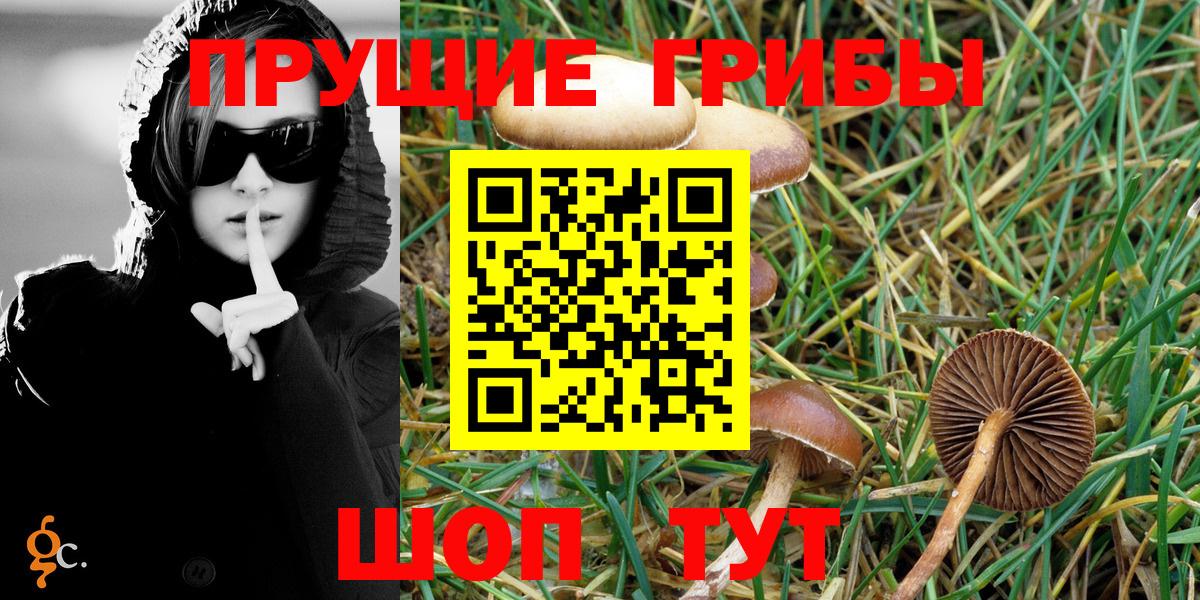Галлюциногенные грибы MAGIC MUSHROOMS  Вход с VPN  Уссурийск  Псилоцибиновые грибы ЛСД 